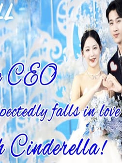 The CEO unexpectedly fall in love with Cinderella